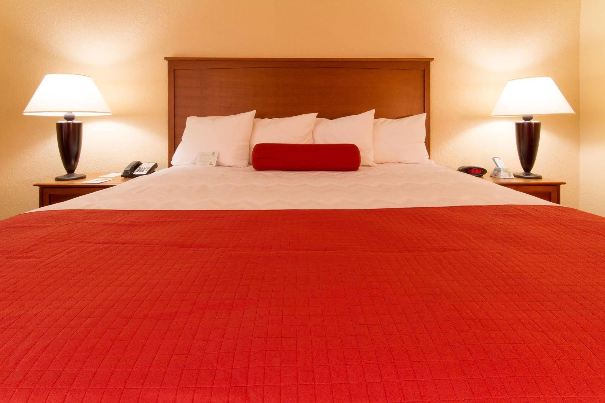 Best Western International Speedway Hotel Daytona Beach Eksteriør billede